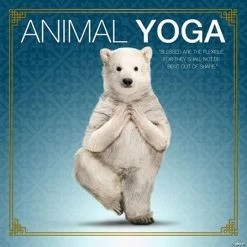 Hot Sale 😍 Willow Creek Press Book Animal Yoga ❤️ -Animal toys Shop 14193970