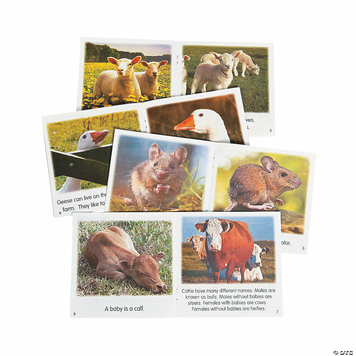 Outlet ⭐ Farm Animal Readers - 20 Pc. 🔔 2 Outlet ⭐ Farm Animal Readers - 20 Pc. 🔔 - Image 2