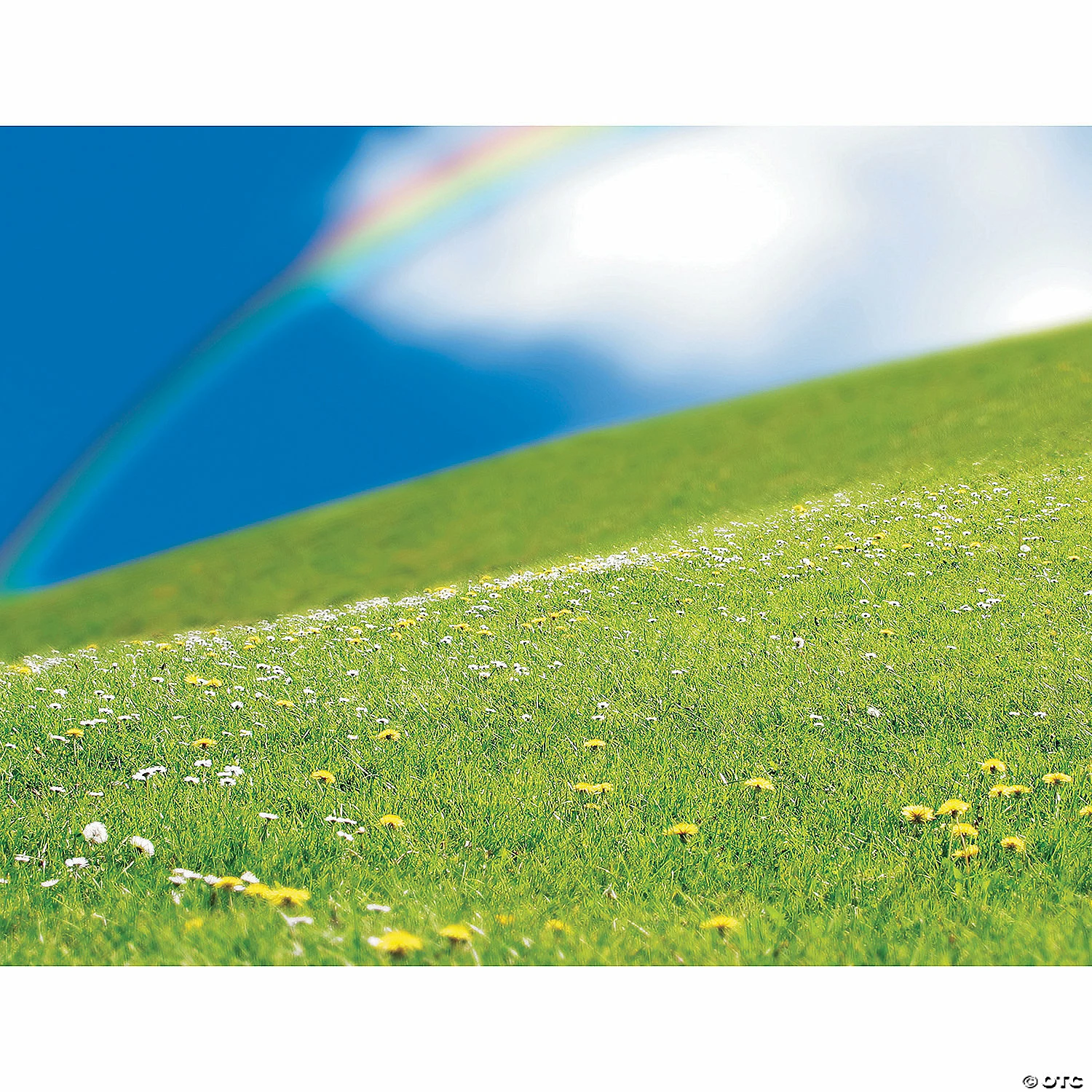 Best deal ๐ Realistic Bugs & Flowers Sticker Scenes - 12 Pc. ๐ฅ 2 Best deal ๐ Realistic Bugs & Flowers Sticker Scenes - 12 Pc. ๐ฅ - Image 2