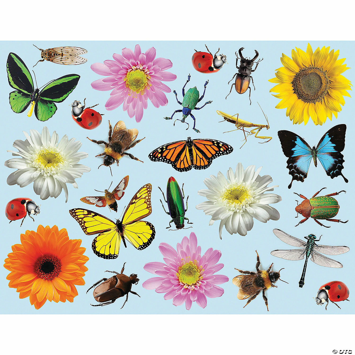 Best deal ๐ Realistic Bugs & Flowers Sticker Scenes - 12 Pc. ๐ฅ 3 Best deal ๐ Realistic Bugs & Flowers Sticker Scenes - 12 Pc. ๐ฅ - Image 3