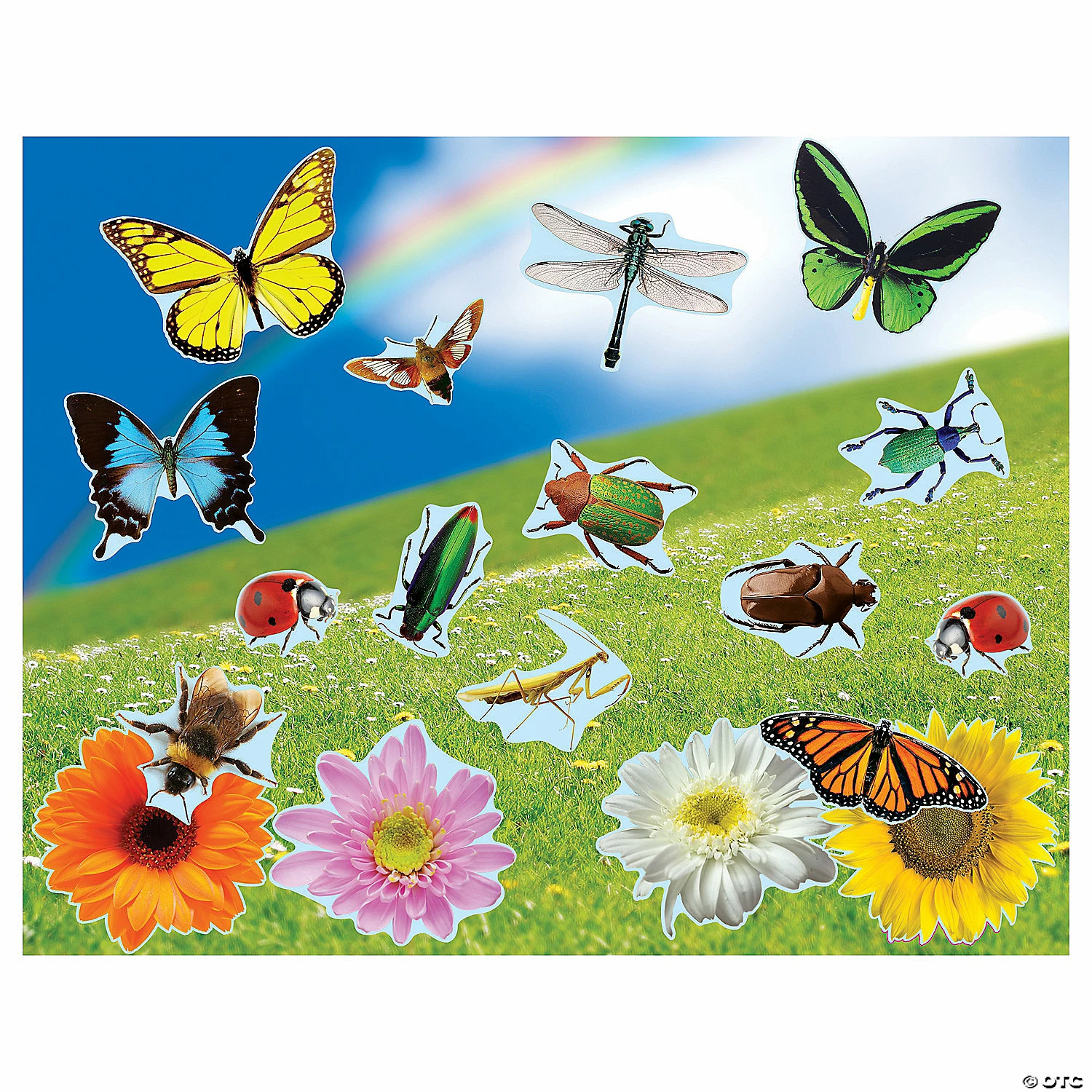 Best deal ๐ Realistic Bugs & Flowers Sticker Scenes - 12 Pc. ๐ฅ 1 Best deal ๐ Realistic Bugs & Flowers Sticker Scenes - 12 Pc. ๐ฅ