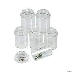 Wholesale 🔥 See-Through Bug Jars - 10 Pc. 😍