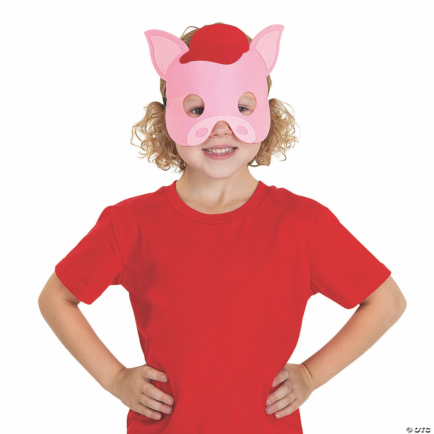 Promo π Three Little Pigs & Big Bad Wolf Masks - 4 Pc. π₯° 2 Promo π Three Little Pigs & Big Bad Wolf Masks - 4 Pc. π₯° - Image 2