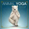 Hot Sale 😍 Willow Creek Press Book Animal Yoga ❤️