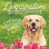Promo 🛒 Willow Creek Press Book 🐶 Dogspirations 🥰