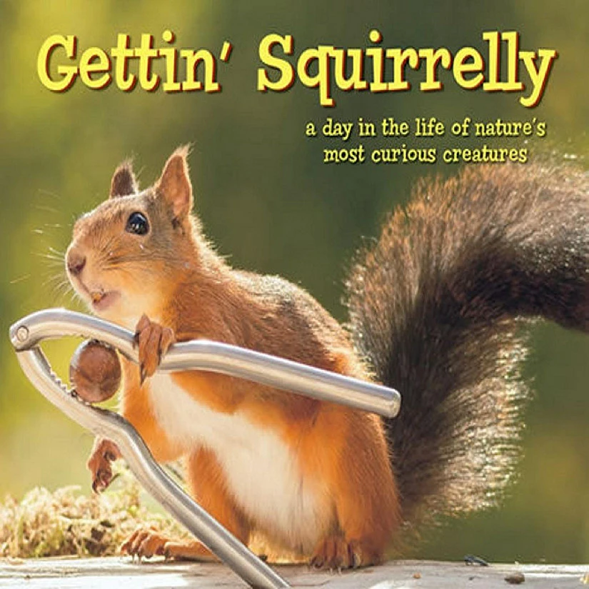 Discount 🥰 Willow Creek Press Book Gettin' Squirrelly 🎁 1 Discount 🥰 Willow Creek Press Book Gettin' Squirrelly 🎁