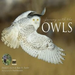 Best Sale 🧨 Willow Creek Press Book Journey With the Owl 🔥