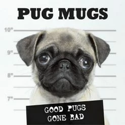 Discount 🎁 Willow Creek Press Book Pug Mugs 🥰