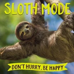 Wholesale 🌟 Willow Creek Press Book Sloth Mode 🔥
