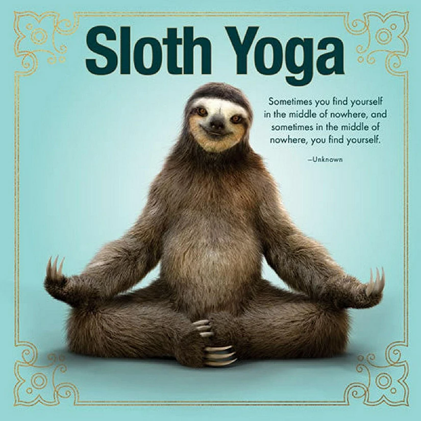 Flash Sale ⭐ Willow Creek Press Book Sloth Yoga 🤩 1 Flash Sale ⭐ Willow Creek Press Book Sloth Yoga 🤩