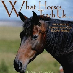 Brand new 👍 Willow Creek Press Book What Horses Teach Us® ⭐